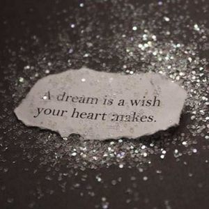 Meet your Posher, Beverly